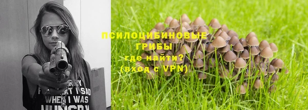 герыч Бронницы