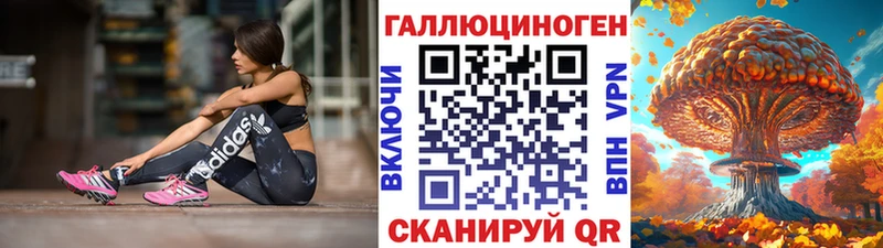 Галлюциногенные грибы Psilocybe  omg вход  Гудермес 