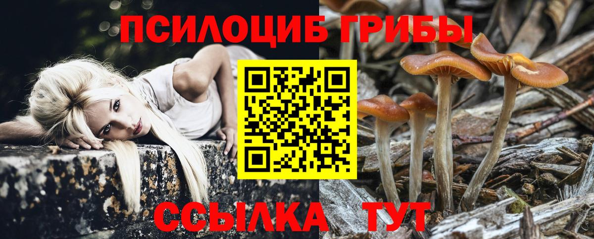 Галлюциногенные грибы Psilocybe  Галлюциногенные грибы мицелий  Вход с VPN  Гудермес 