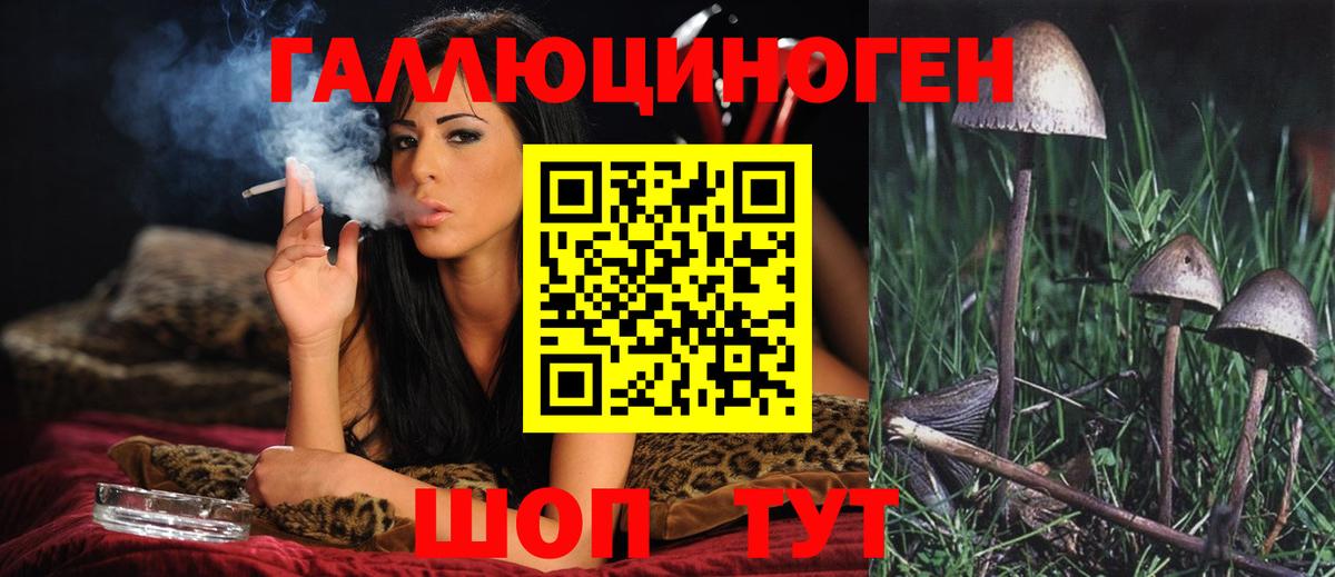 Галлюциногенные грибы прущие грибы Гудермес